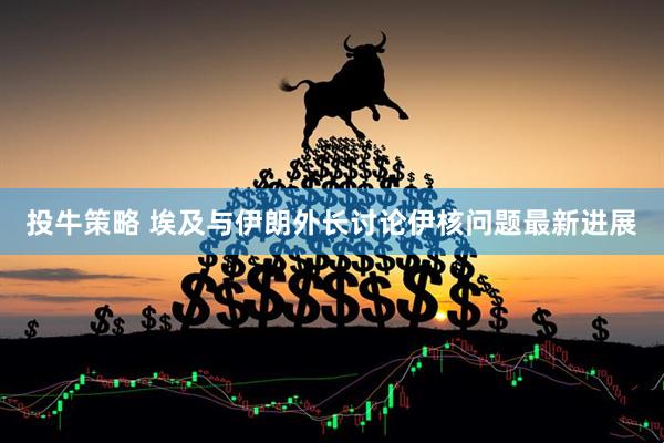 投牛策略 埃及与伊朗外长讨论伊核问题最新进展