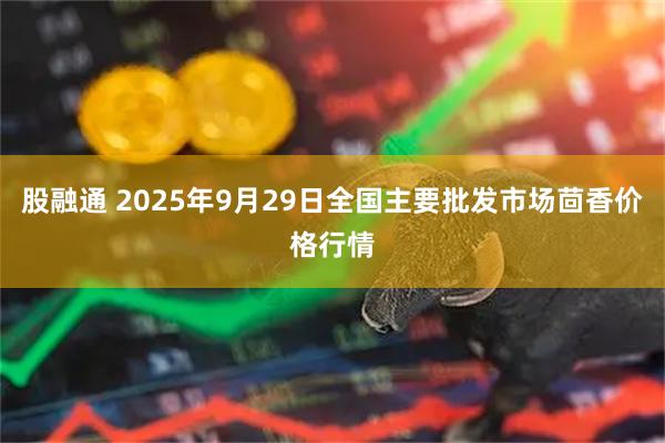 股融通 2025年9月29日全国主要批发市场茴香价格行情