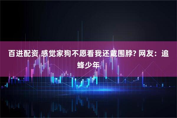 百进配资 感觉家狗不愿看我还戴围脖? 网友：追蜂少年