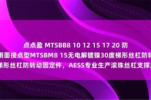 点点盈 MTSBB8 10 12 15 17 20 防转动固定件 30度梯形丝杠用面接点型MTSBM8 15无电解镀镍30度梯形丝杠防转动固定件，AESS专业生产滚珠丝杠支撑座，重载型支撑座