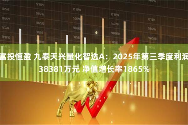 富投恒盈 九泰天兴量化智选A：2025年第三季度利润38381万元 净值增长率1865%