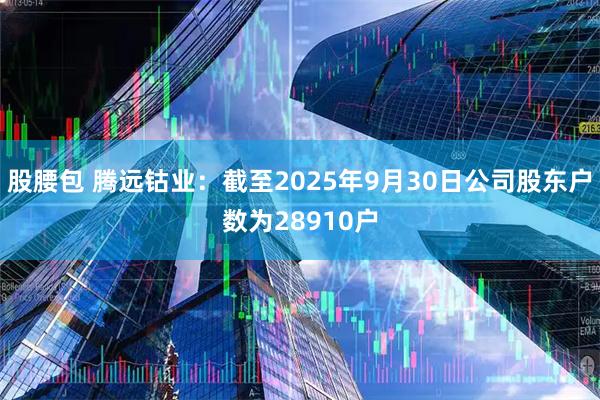 股腰包 腾远钴业：截至2025年9月30日公司股东户数为28910户
