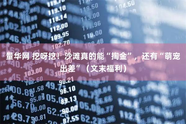 量华网 挖呀挖！沙滩真的能“掏金”，还有“萌宠出差”（文末福利）